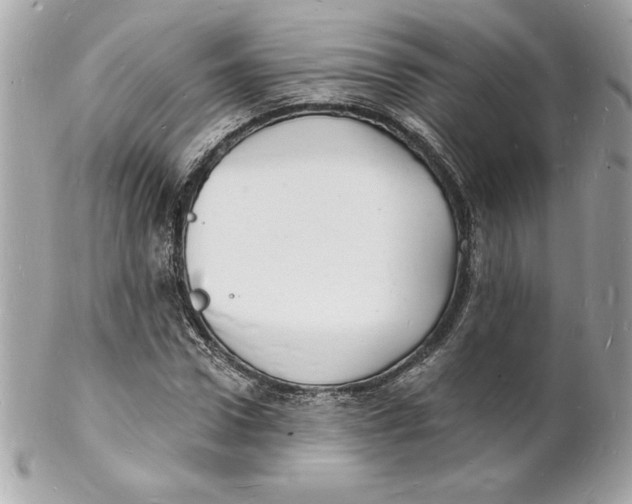 X0000102220922200808151702