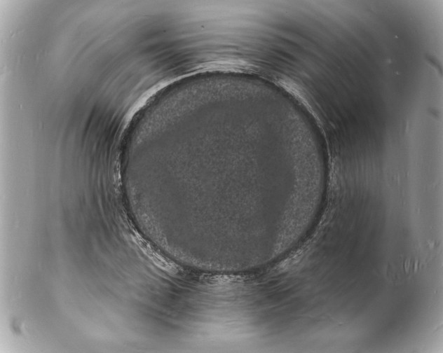 X0000102220923200808151702