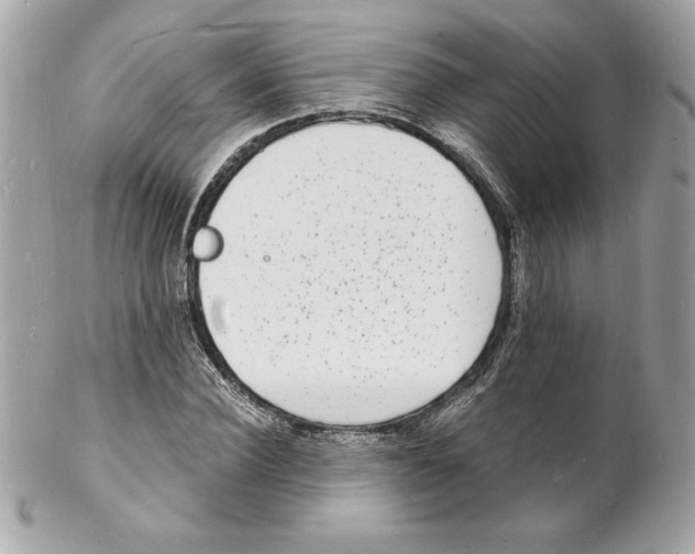 X0000102220924200808151702