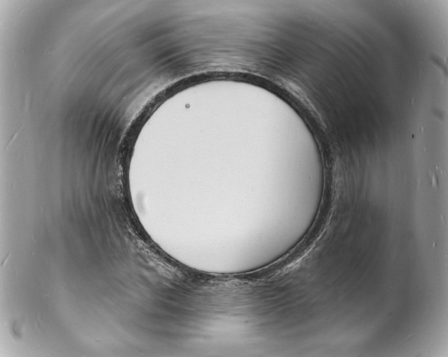 X0000102220926200808151702