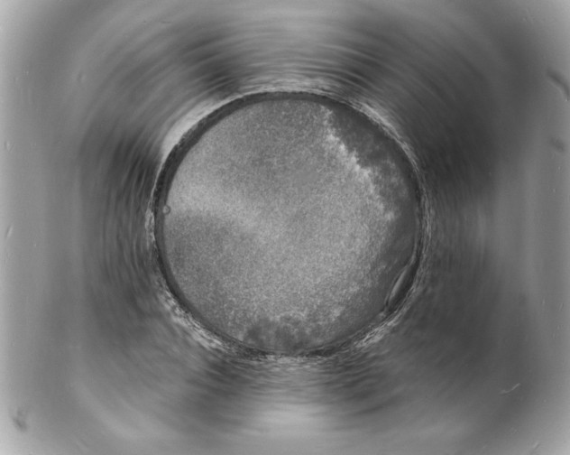 X0000102220928200808151702