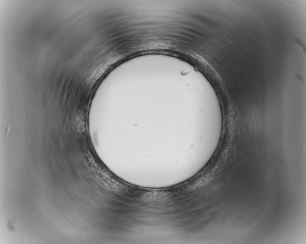 X0000102220929200808151702