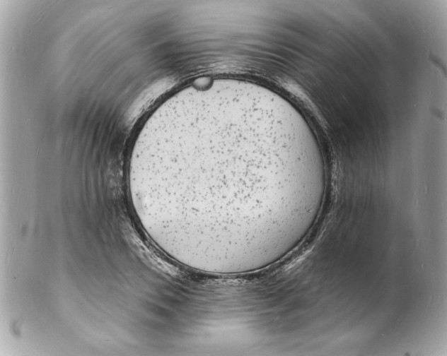 X0000102220930200808151702