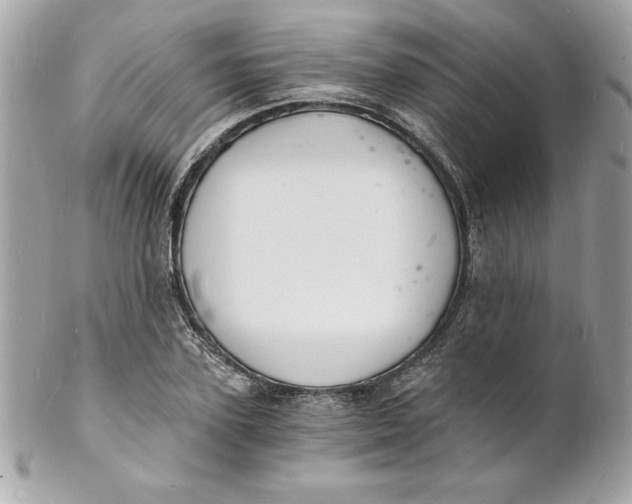 X0000102220931200808151702