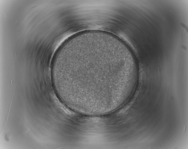 X0000102220932200808151702