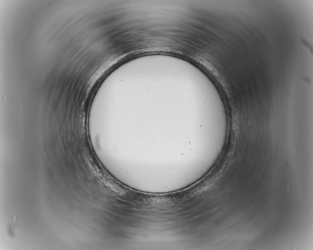 X0000102220933200808151702