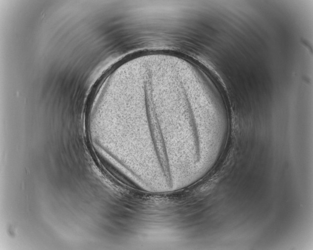 X0000102220935200808151702