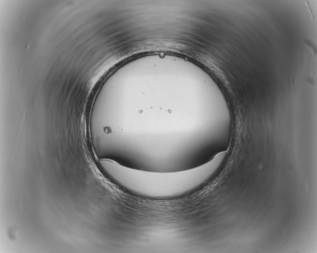 X0000102220936200808151702