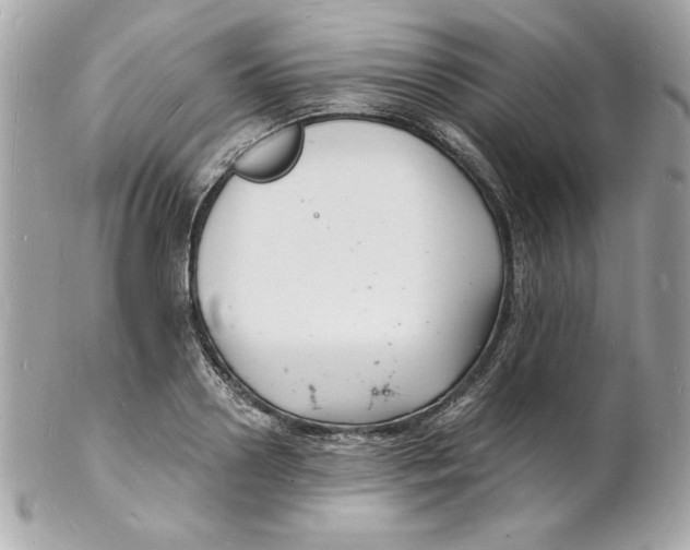 X0000102220938200808151702