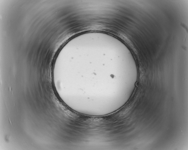 X0000102220939200808151702