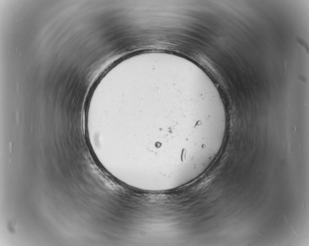 X0000102220940200808151702