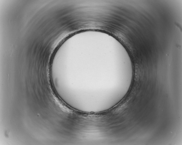 X0000102220942200808151702