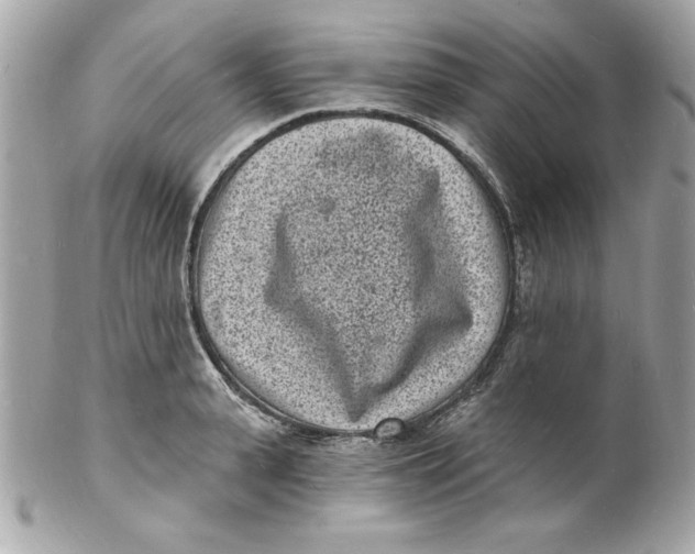 X0000102220943200808151702