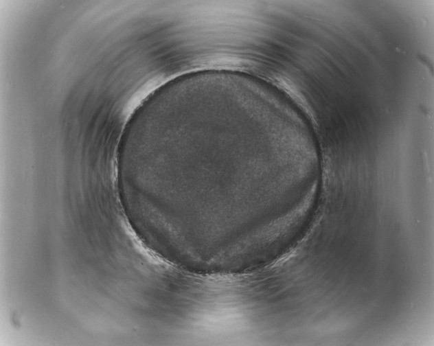 X0000102220944200808151702