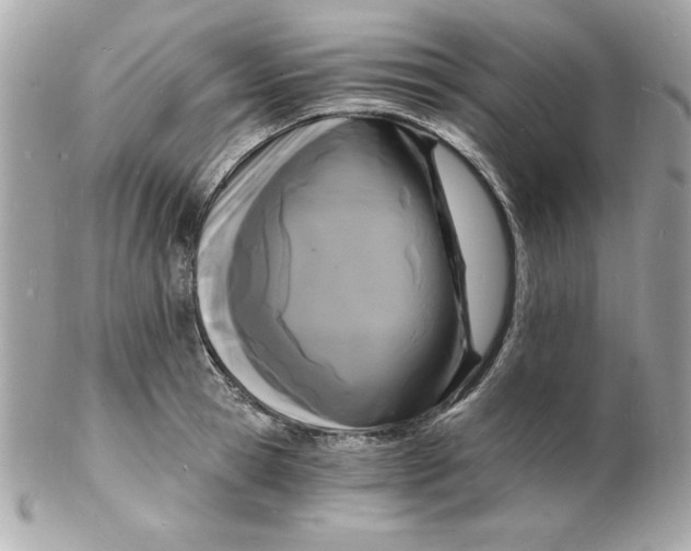 X0000102220945200808151702