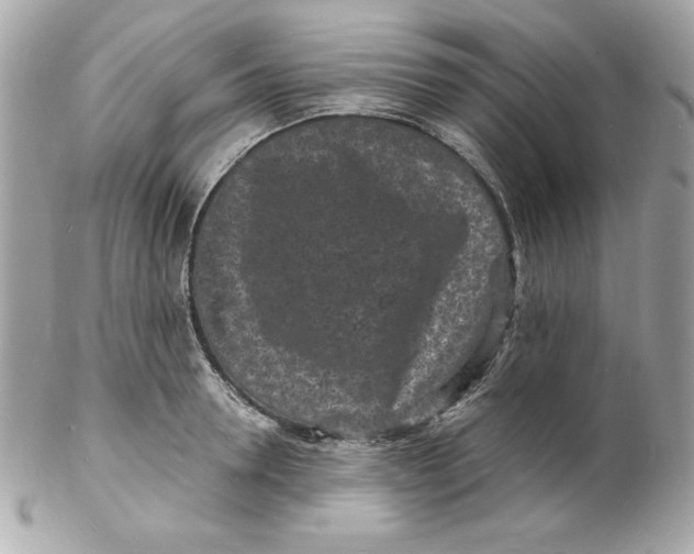 X0000102220946200808151702