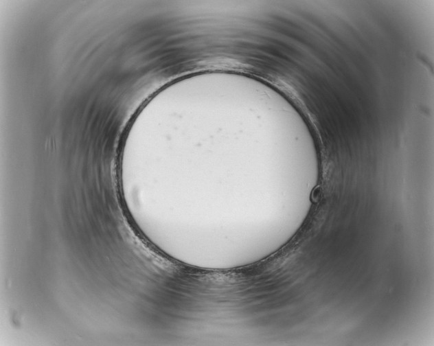 X0000102220947200808151702