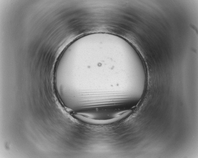 X0000102220949200808151702