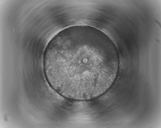 X0000102220950200808151702