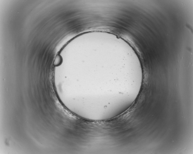 X0000102220952200808151702