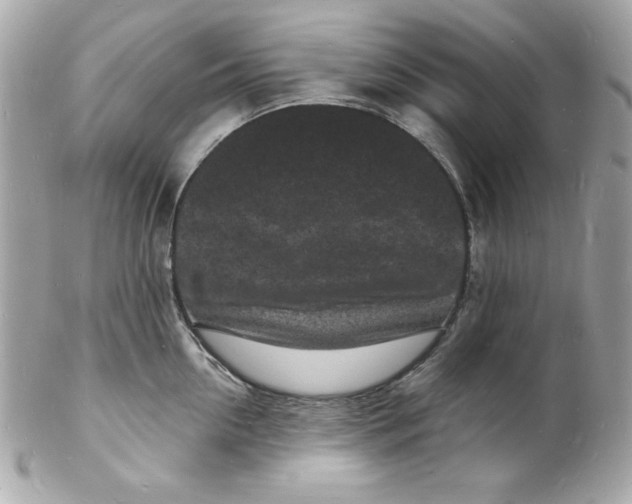 X0000102220954200808151702