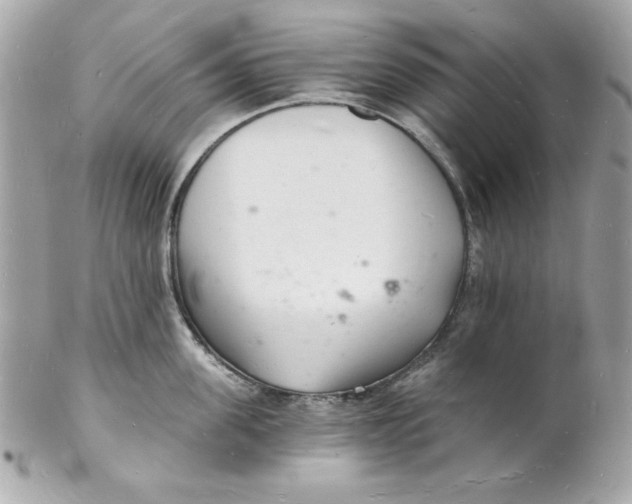 X0000102220955200808151702