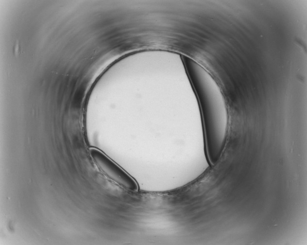 X0000102220956200808151702