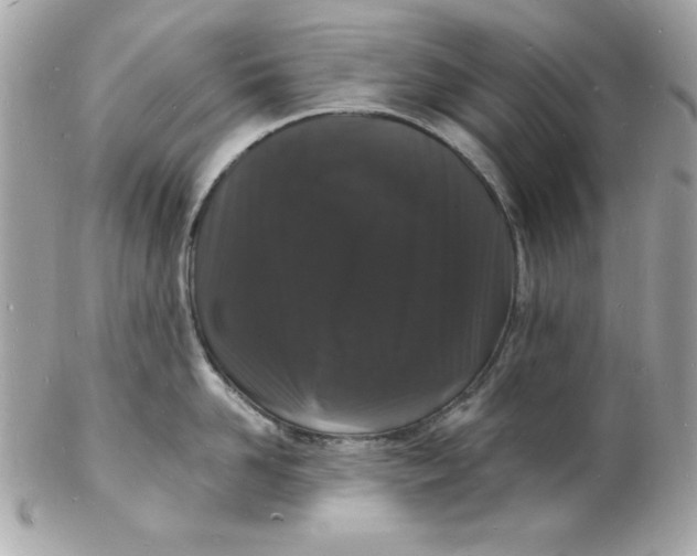 X0000102220958200808151702