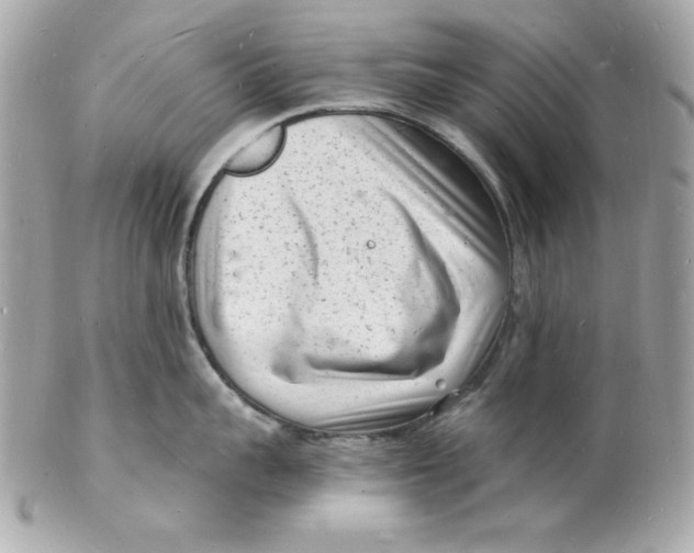 X0000102220959200808151702