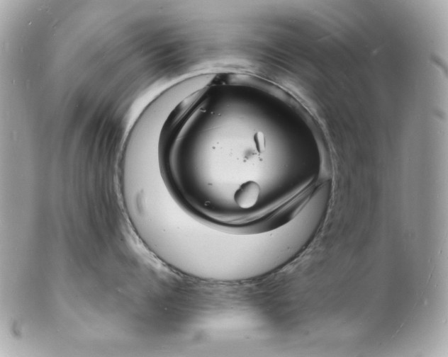 X0000102220960200808151702