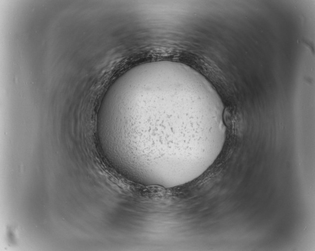 X0000102220961200808151701