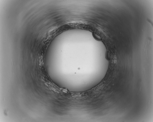 X0000102220965200808151701