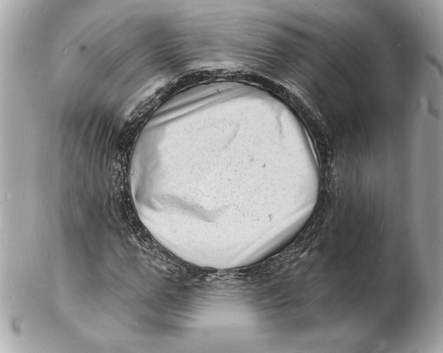 X0000102220967200808151701