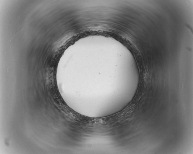 X0000102220968200808151701