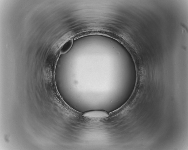 X0000102220969200808151701