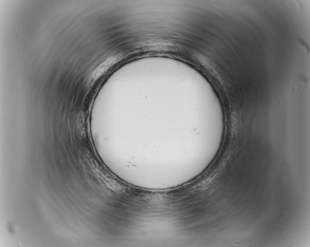 X0000102220970200808151701