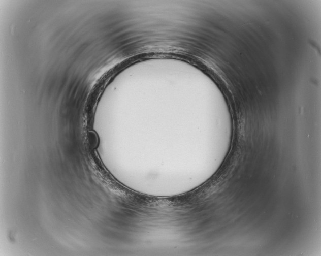 X0000102220971200808151701