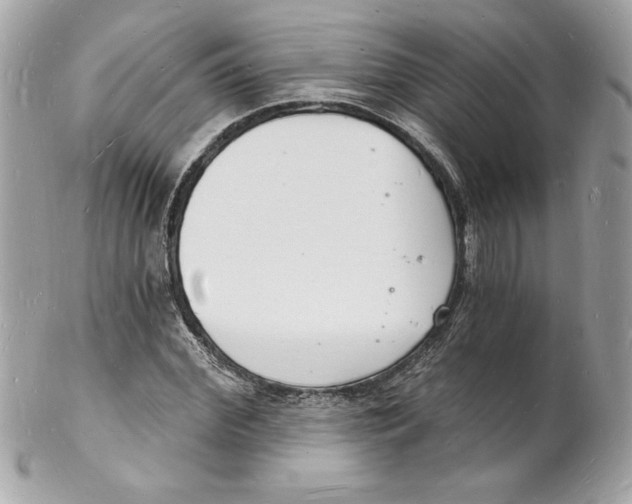 X0000102220972200808151701