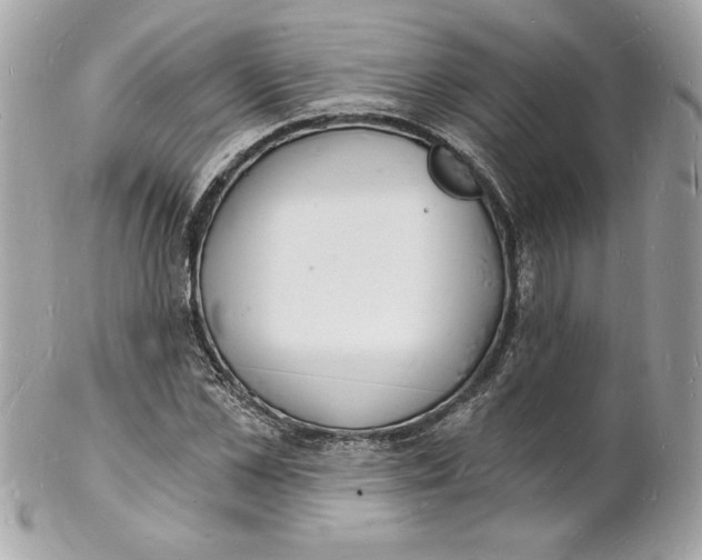 X0000102220973200808151701