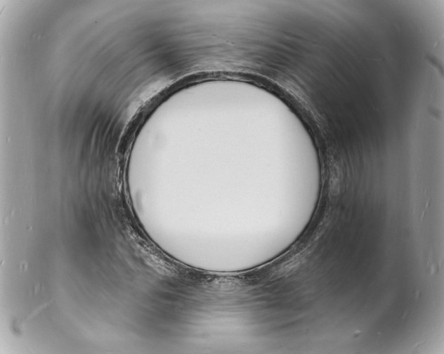 X0000102220974200808151701