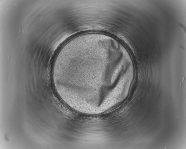 X0000102220975200808151701