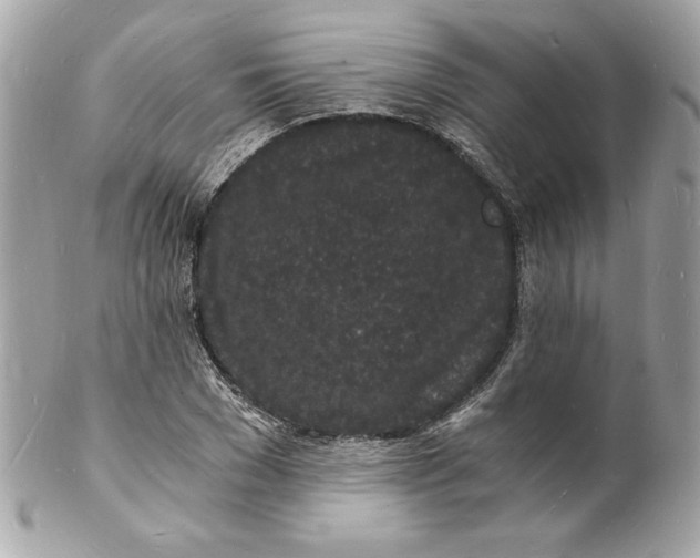 X0000102220977200808151701