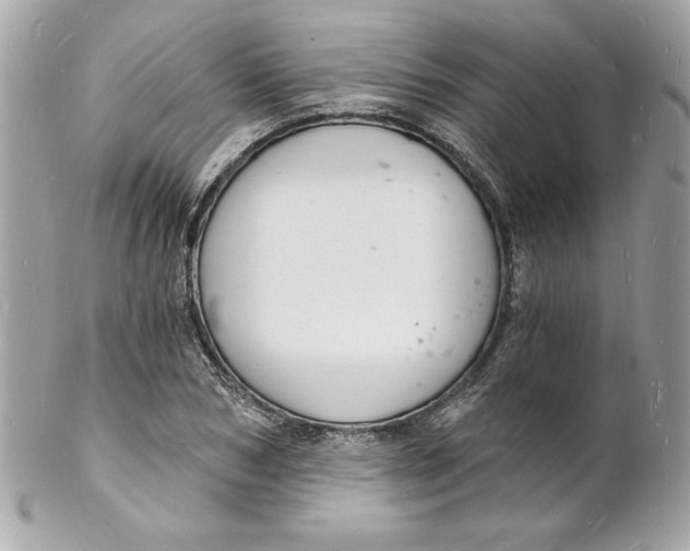 X0000102220978200808151701