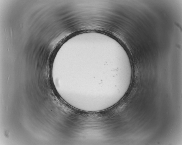 X0000102220979200808151701