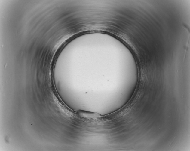 X0000102220980200808151701