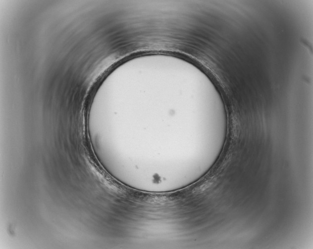 X0000102220982200808151701