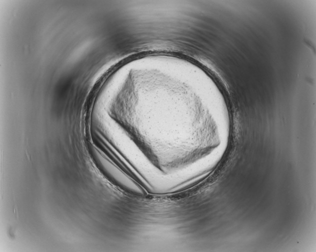 X0000102220983200808151701