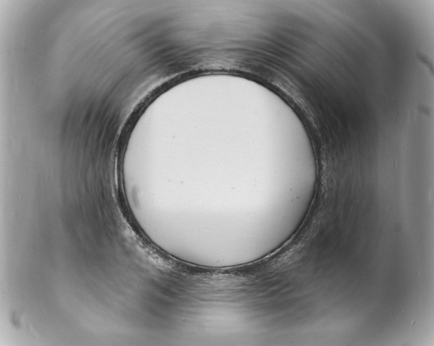 X0000102220984200808151701