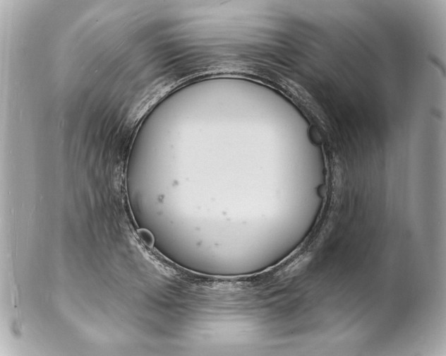 X0000102220985200808151701