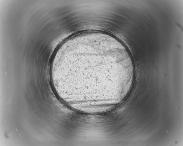 X0000102220987200808151701